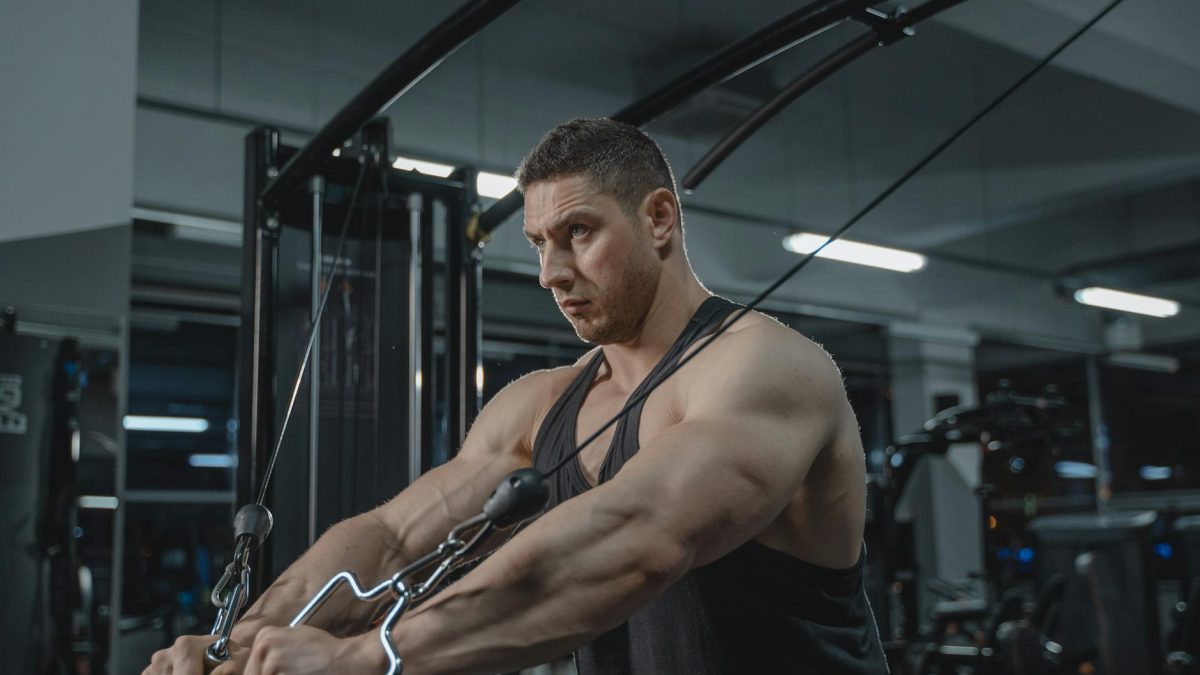 Extension triceps : guide complet, technique et muscles sollicités